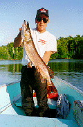 NORTHERN PIKE